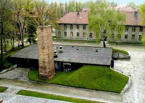 Auschwitz Crema 1