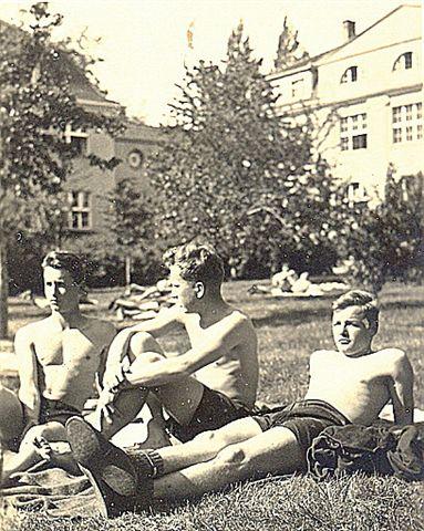 Taking in sun