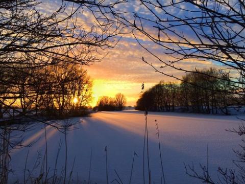 Winter Solstice arrives | Carolyn Yeager