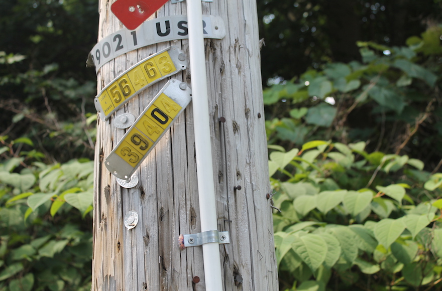 A PVC pipe affixed to a telephone pole in the town of Upper Saddle River, NJ.