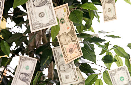 Money on a Tree