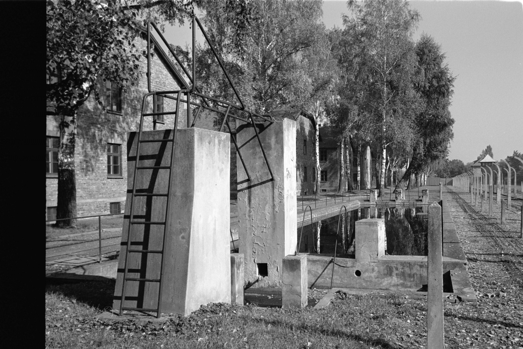 Auschwitz swimming pool