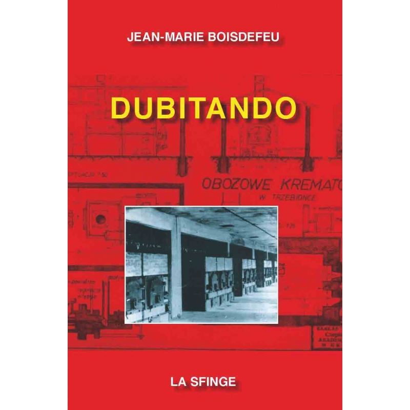 Dubitando book cover