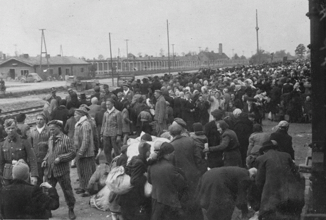 Hungarians arriving at Auschwitz