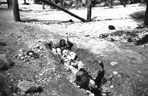 Two SS soldiers or guards beaten and stoned.