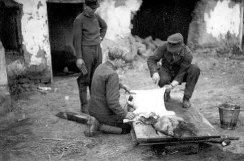 Ostfront Mai 1944, Verpflegungszuschuß