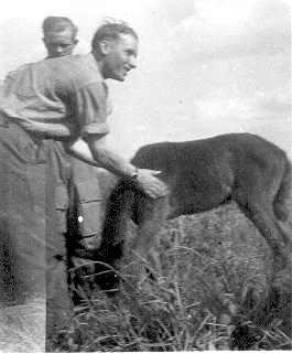 Ostfront  angenehme Abwechslung
