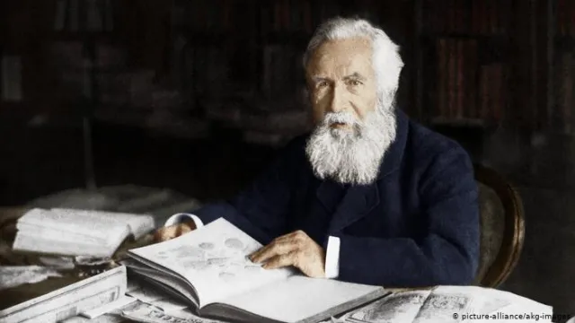 Ernst Haeckel, zoologist