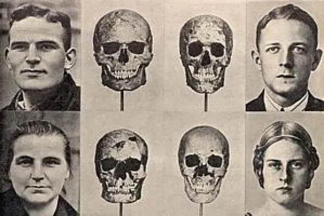 The Phalian (left) and Nordic (right) types constitute the racial core of the German people, says Dr. Rudolf Frercks.